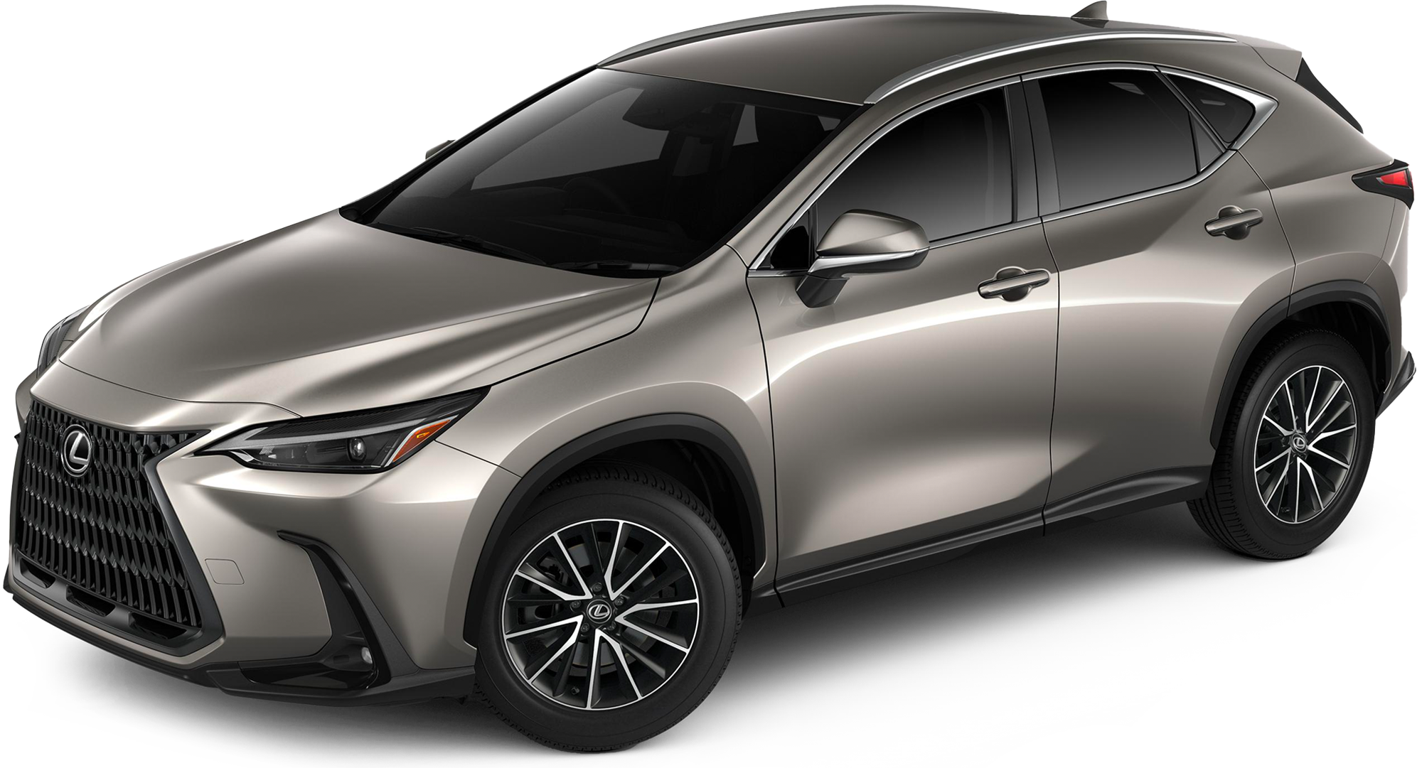 2024 Lexus NX 250 Incentives Specials Offers In Springfield MO